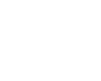 SurveyDIG
